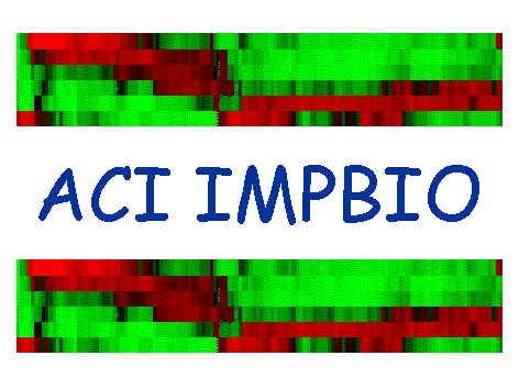 Logo IMPBIO
